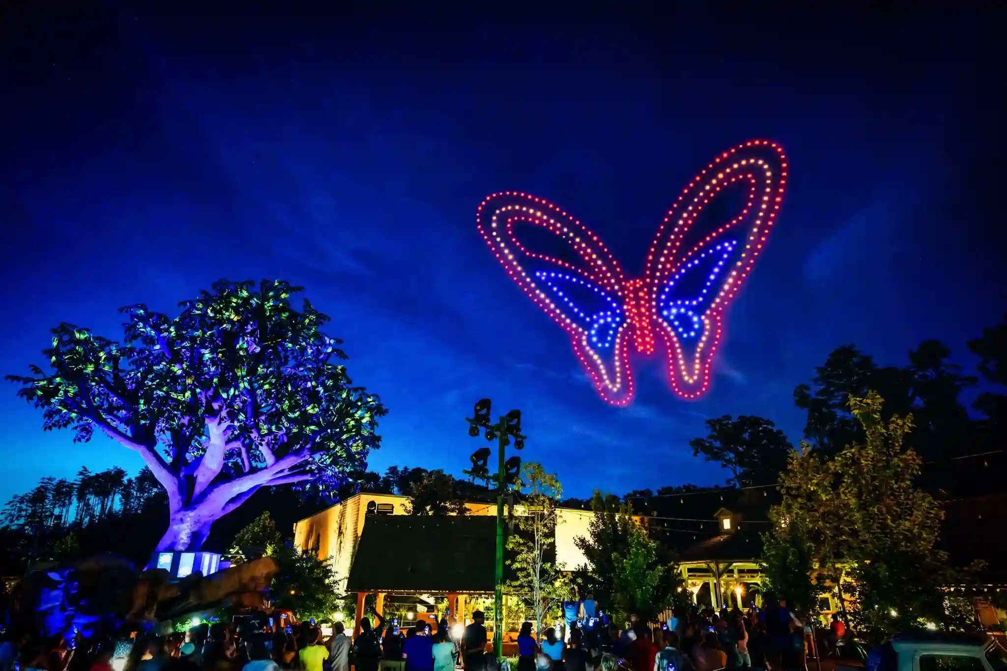 A nighttime outdoor drone light show forming a colorful butterfly shape in the sky above a crowd, with illuminated trees and buildings in the foreground.