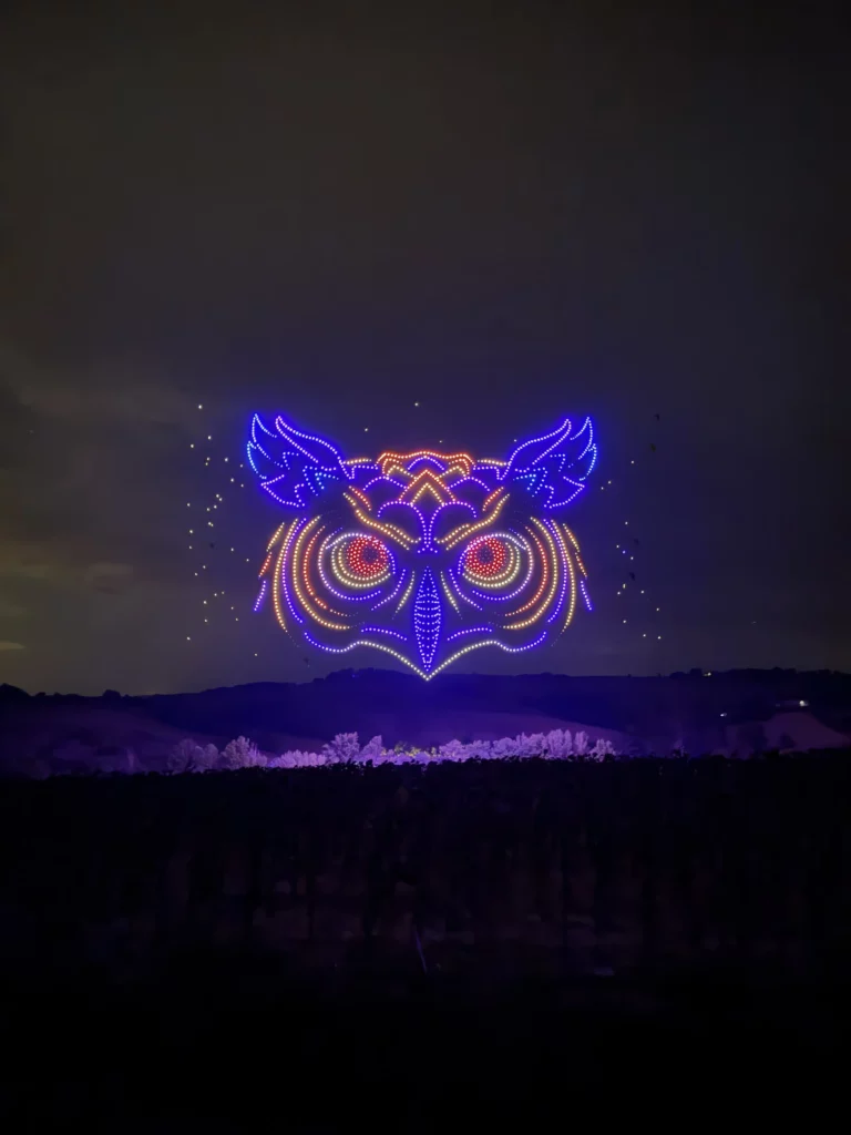 Night sky drone light show displaying a detailed owl face design in blue, red, and gold lights above a vineyard landscape.